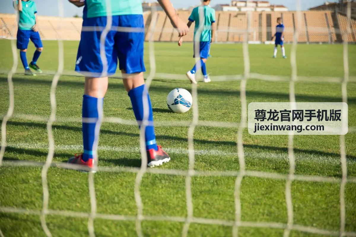 尊龙官网手机版企业数字化服务文章封面
