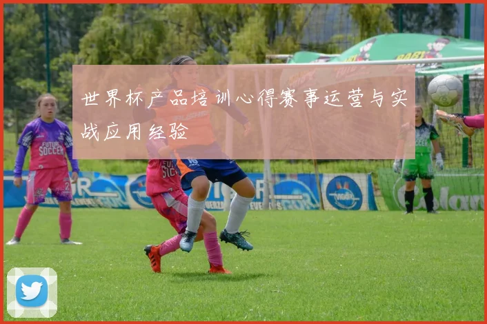 世界杯产品培训心得赛事运营与实战应用经验