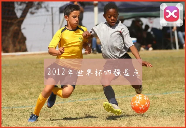 2012年世界杯四强盘点