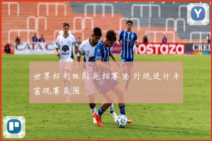 世界杯彩绘贴亮相赛场 外观设计丰富观赛氛围