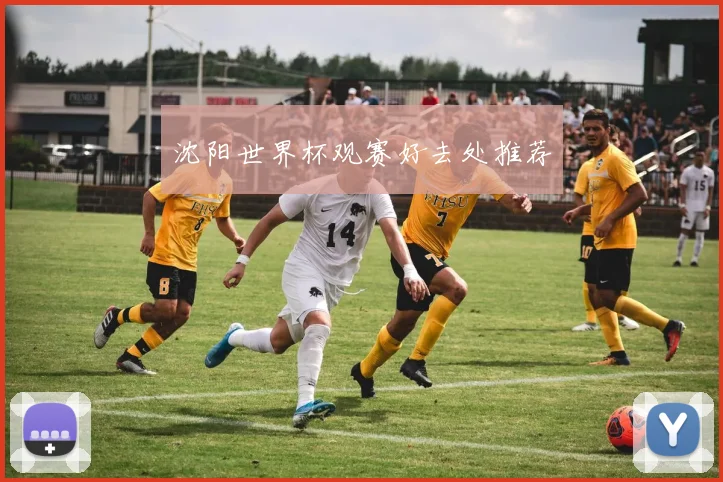 沈阳世界杯观赛好去处推荐